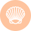 Tenero-Conch