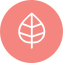 Tenero-Leaf