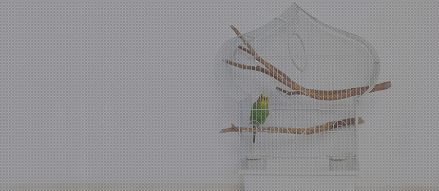 Зооинвентарь